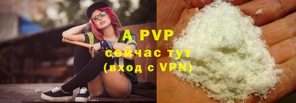индика Абинск