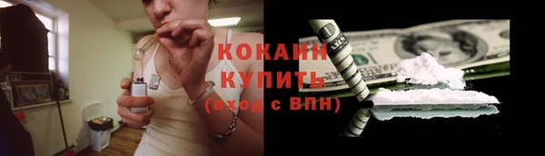 индика Абинск