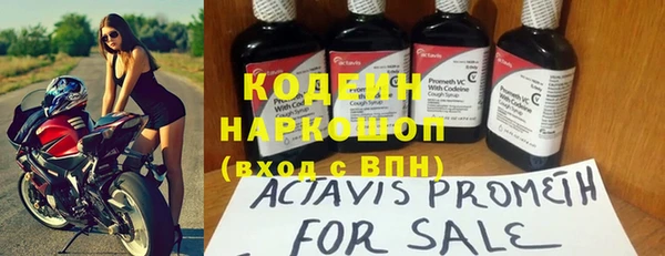 индика Абинск