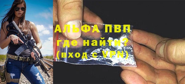 индика Абинск