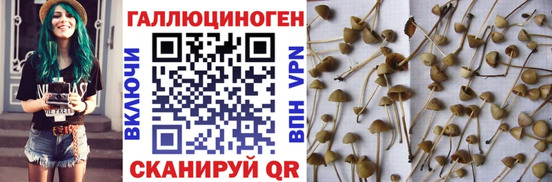 Галлюциногенные грибы MAGIC MUSHROOMS  blacksprut ТОР  Иваново 